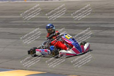 media/Mar-29-2025-Pro Autosports (Sat) [[89b1c017ad]]/6-Purple Group/Session 2 (Bowl)/